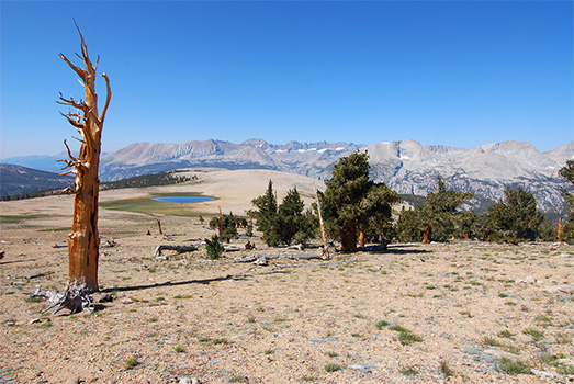 bighorn plateau